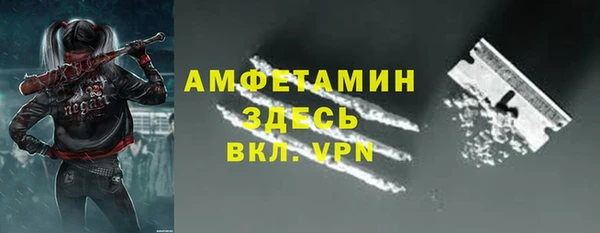 гашиш Богданович